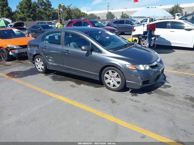 19XFA1F5XAE****** 2010 Honda Civic