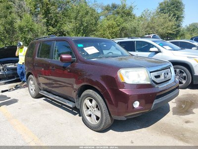 2011 Honda Pilot