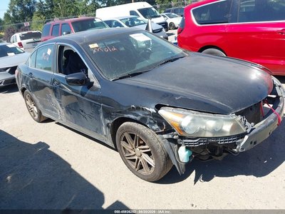 2010 Honda Accord