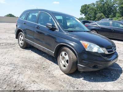 5J6RE4H33AL****** 2010 Honda CR-V