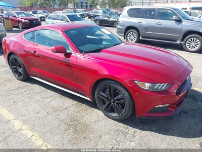 1FA6P8TH4G5****** 2016 Ford Mustang