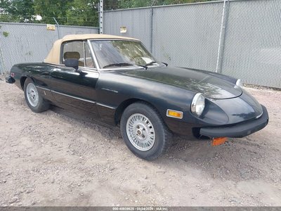 AR1154100***** 1979 Alfa Romeo Spider