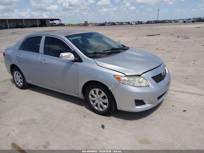 1NXBU40E19Z****** 2009 Toyota Corolla