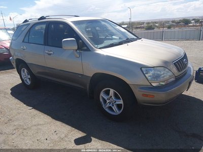 JTJHF10U420****** 2002 Lexus RX