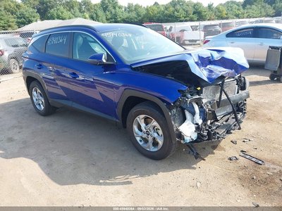 5NMJBCAE4NH****** 2022 Hyundai Tucson