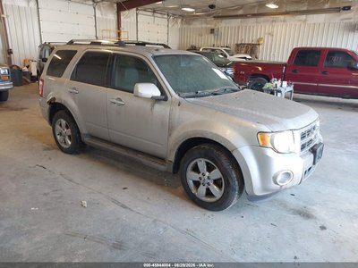 1FMCU9EG7AK****** 2010 Ford Escape