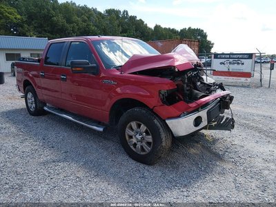 1FTFW1EV3AF****** 2010 Ford F-150