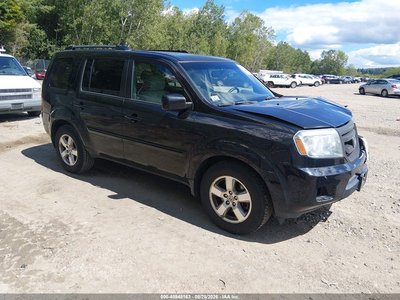 5FNYF4H53BB****** 2011 Honda Pilot