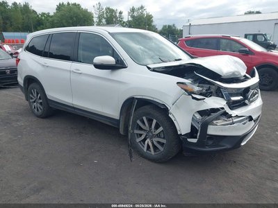 5FNYF6H53MB****** 2021 Honda Pilot