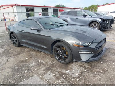 1FA6P8TH7L5****** 2020 Ford Mustang