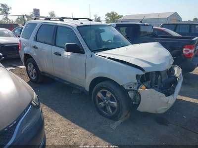 2010 Ford Escape