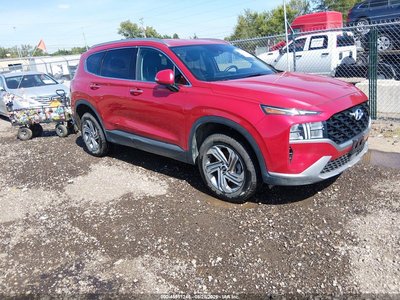 5NMS2DAJ6PH****** 2023 Hyundai Santa Fe