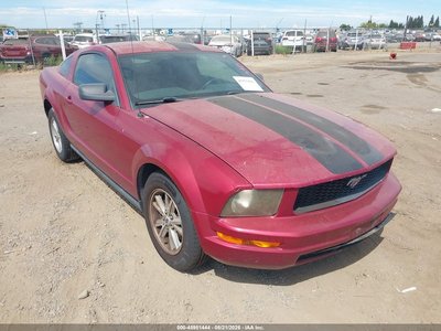 1ZVFT80N365****** 2006 Ford Mustang