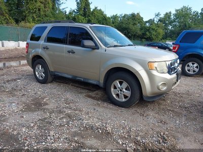 1FMCU0DG3BK****** 2011 Ford Escape