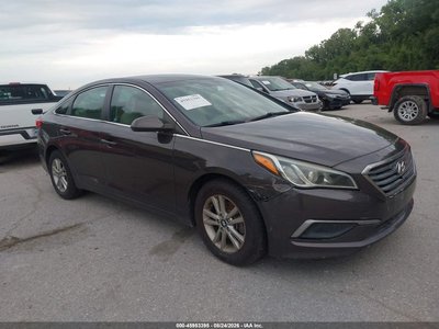 5NPE24AF4GH****** 2016 Hyundai Sonata
