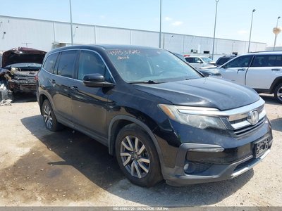 5FNYF5H50KB****** 2019 Honda Pilot