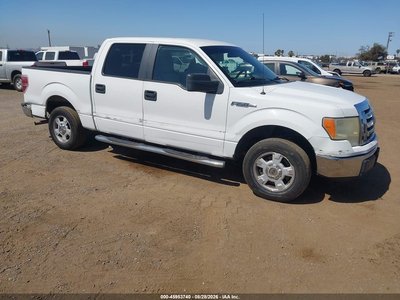 2010 Ford F-150