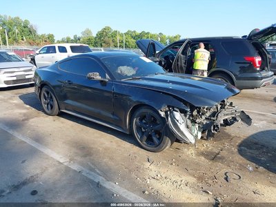 1FA6P8AM1F5****** 2015 Ford Mustang