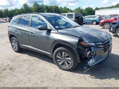 KM8JBCA16PU****** 2023 Hyundai Tucson Hybrid