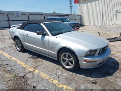 1ZVFT85H165****** 2006 Ford Mustang