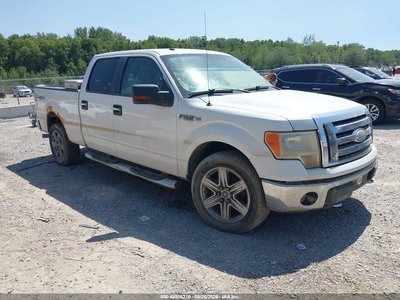 1FTPW14V69F****** 2009 Ford F-150