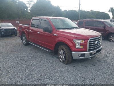 1FTEW1EFXFF****** 2015 Ford F-150