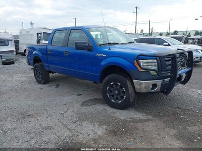 1FTEW1E83AF****** 2010 Ford F-150
