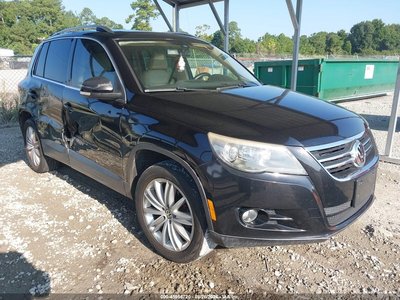 WVGBV75N99W****** 2009 Volkswagen Tiguan