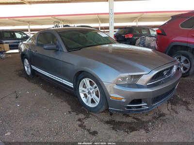 2013 Ford Mustang