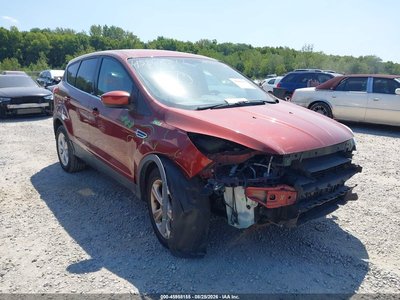 1FMCU0GX5EU****** 2014 Ford Escape