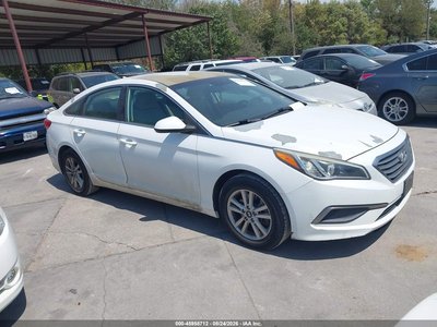 5NPE24AF0GH****** 2016 Hyundai Sonata