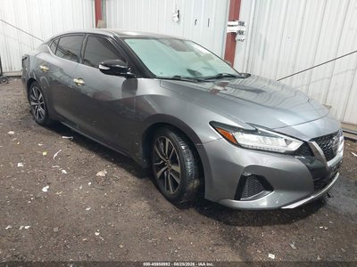 1N4AA6CV6LC****** 2020 Nissan Maxima