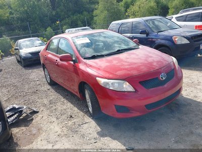 1NXBU40E39Z****** 2009 Toyota Corolla