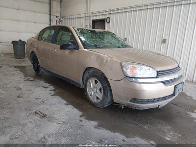 1G1ZT54885F****** 2005 Chevrolet Malibu