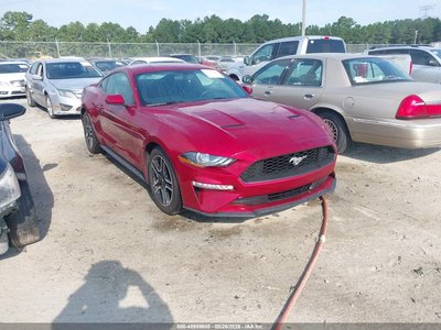 1FA6P8TH2K5****** 2019 Ford Mustang