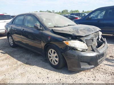 1NXBU4EE2AZ****** 2010 Toyota Corolla