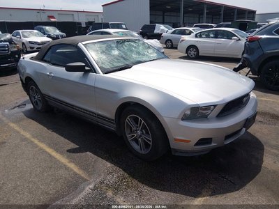 1ZVBP8EN6A5****** 2010 Ford Mustang
