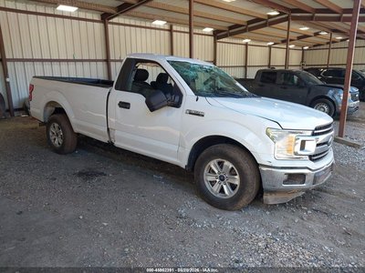1FTMF1C51KK****** 2019 Ford F-150