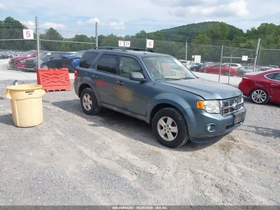 1FMCU9DG8BK****** 2011 Ford Escape