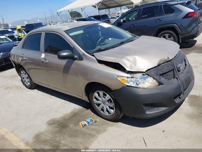 1NXBU4EE9AZ****** 2010 Toyota Corolla