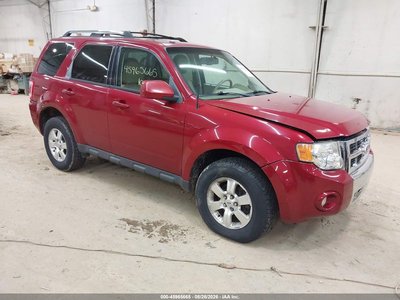 2010 Ford Escape