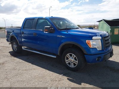 1FTFW1EV8AF****** 2010 Ford F-150