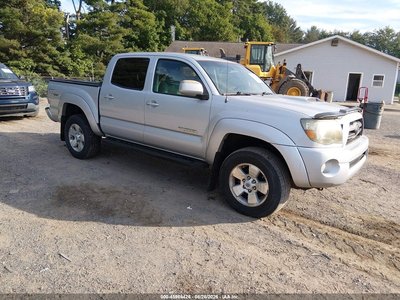 3TMJU62NX9M****** 2009 Toyota Tacoma
