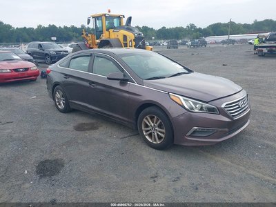 5NPE24AF0FH****** 2015 Hyundai Sonata