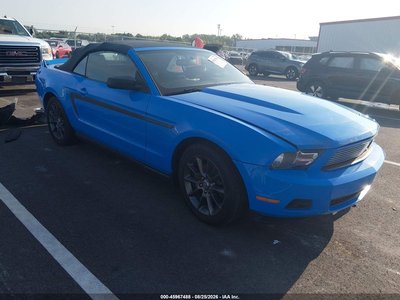 1ZVBP8EM4B5****** 2011 Ford Mustang