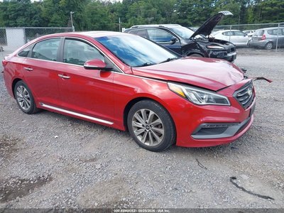 5NPE34AF0HH****** 2017 Hyundai Sonata