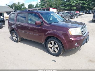 5FNYF48599B****** 2009 Honda Pilot