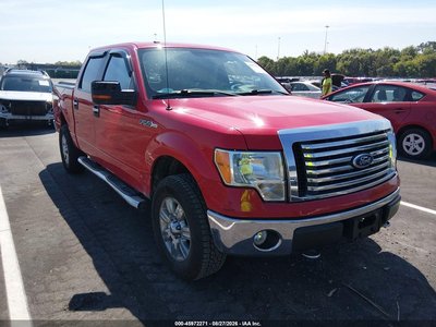 1FTFW1EV0AF****** 2010 Ford F-150
