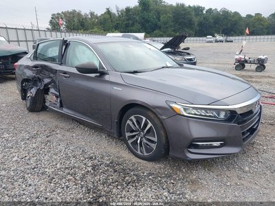 1HGCV3F53LA****** 2020 Honda Accord Hybrid