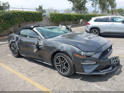 1FATP8UH2K5****** 2019 Ford Mustang
